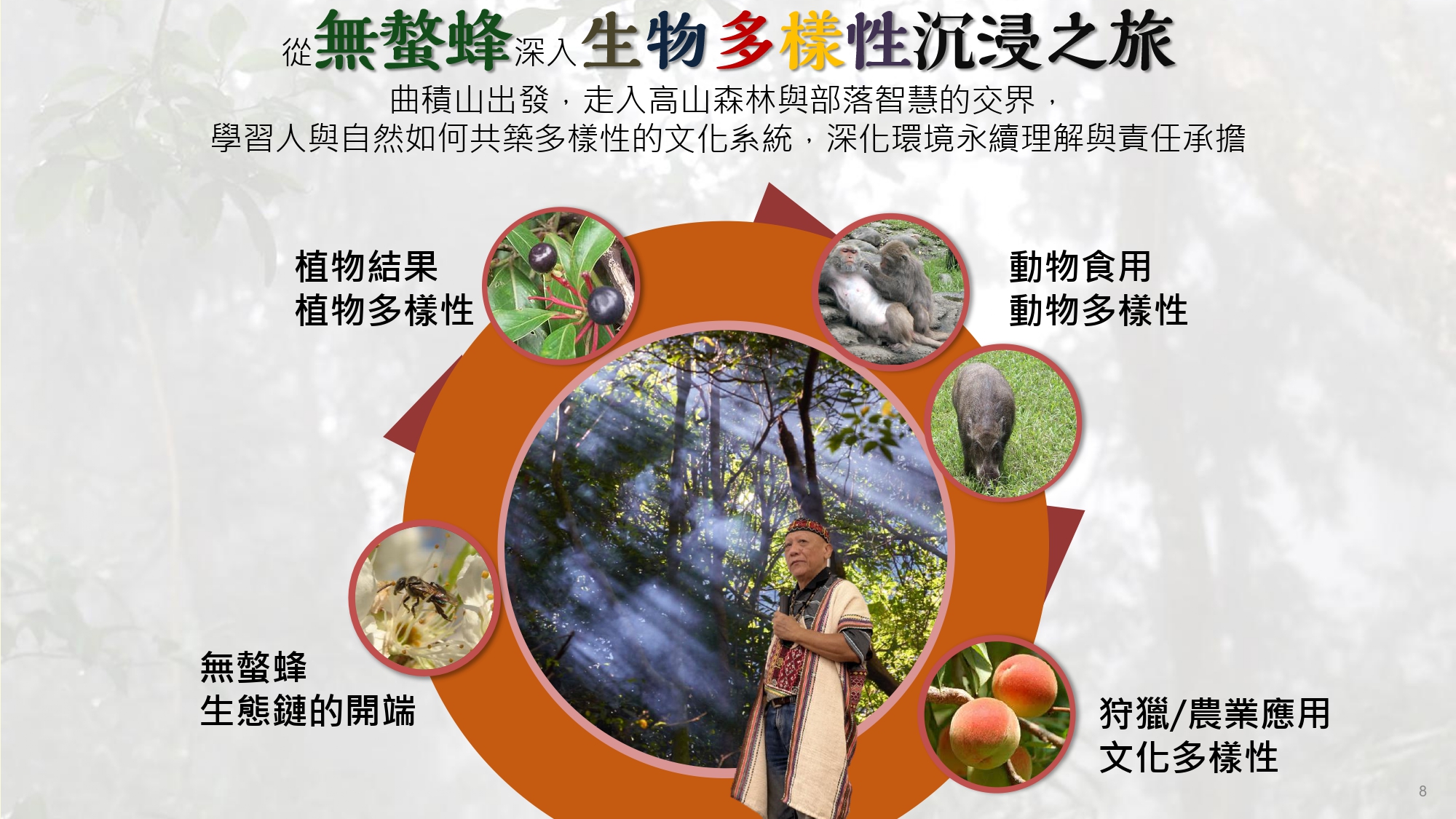 無螫蜂生態導覽